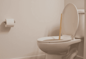 Toilet Blocked